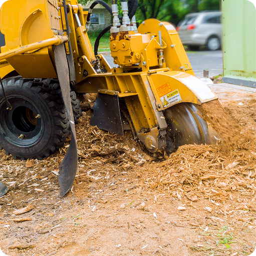 Stump Grinding